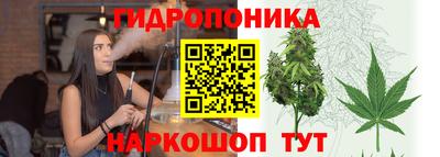 ГАЛЛЮЦИНОГЕННЫЕ ГРИБЫ Донской
