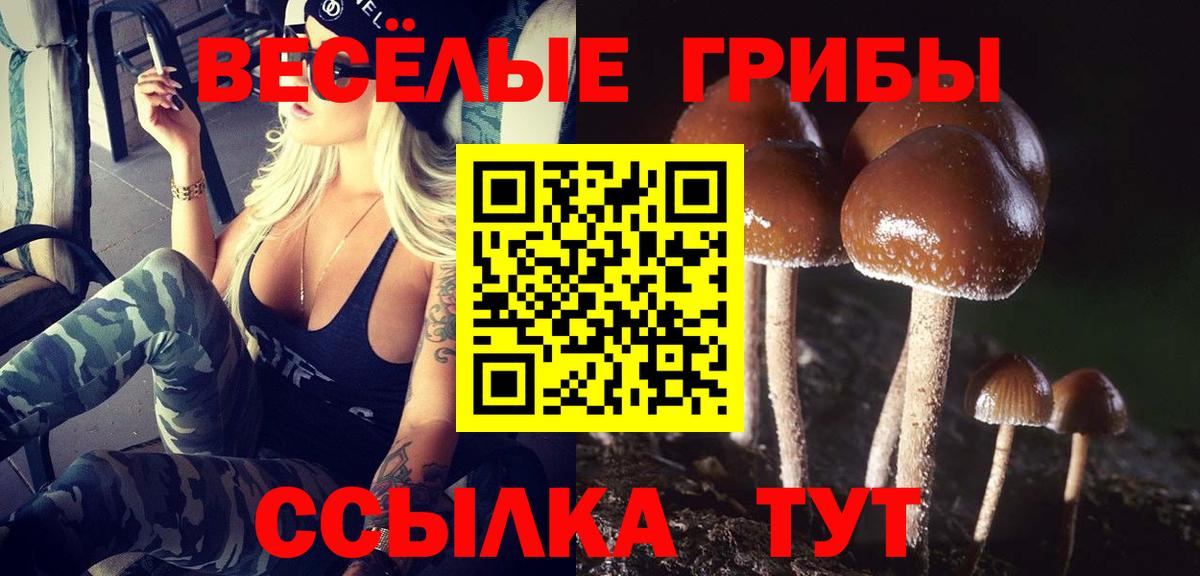 Псилоцибиновые грибы мицелий  Вход с VPN  Нальчик  Псилоцибиновые грибы Psilocybine cubensis 