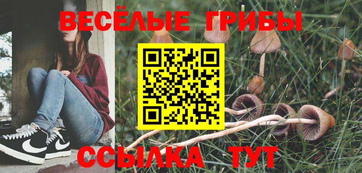 Галлюциногенные грибы MAGIC MUSHROOMS Нальчик